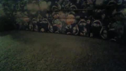 Snapshot of elitehoncho chatting on November 2025 08:46:01 AM jeff online show from November 2025 08:46:01 AM