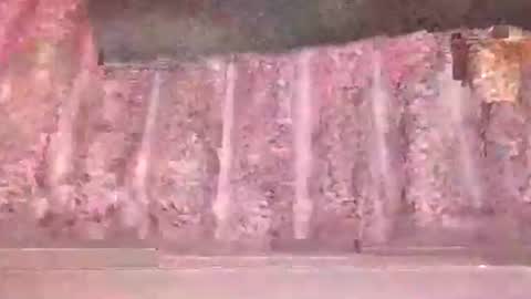 eliterd online show from October 2025 12:58:01 AM