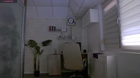            online show from March 2025 12:33:02 PM