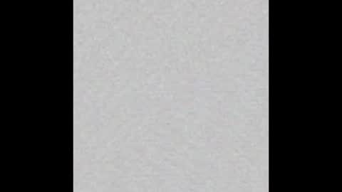 Ellie online show from November 2025 09:11:01 AM