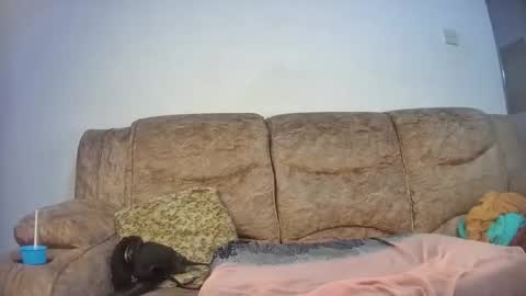 Snapshot of elsie02 chatting on November 2025 06:56:02 PM elsie02 online show from November 2025 06:56:02 PM