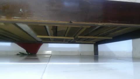 E L Z A  online show from March 2025 03:37:01 PM