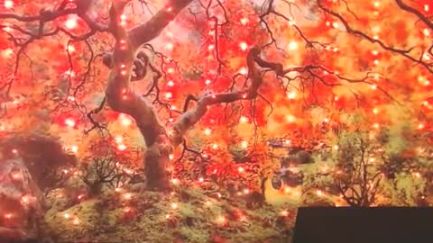 Ember Starleena online show from September 2025 01:49:01 PM