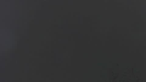 EMI online show from November 2025 11:42:02 AM