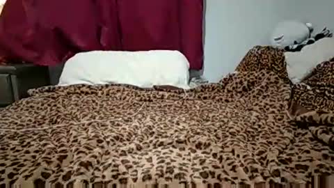 Snapshot of emilysparkss chatting on November 2025 02:46:02 AM emilysparkss online show from November 2025 02:46:02 AM