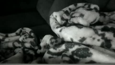 Snapshot of emilywarren296 chatting on October 2025 01:12:01 PM emilywarren296 online show from October 2025 01:12:01 PM