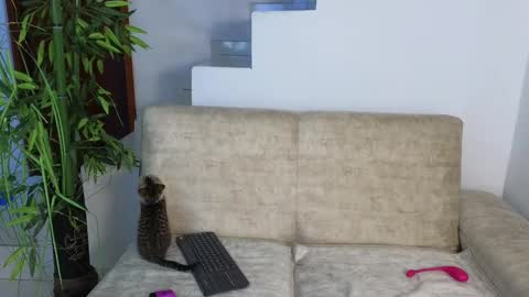 Emma Blue  modelo independiente online show from October 2025 03:29:02 AM