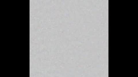 Emily online show from October 2025 02:44:01 AM