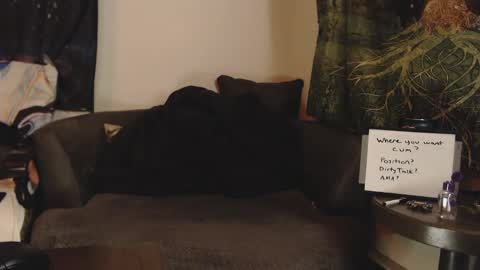 Brad Ryan online show from January 2025 11:15:02 AM