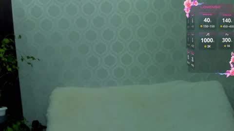 Ki online show from December 2024 09:50:01 PM