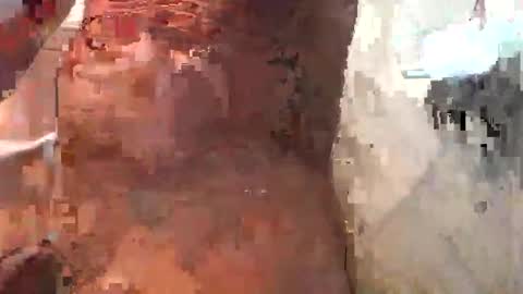 englishhunginasia online show from January 2025 02:26:01 AM