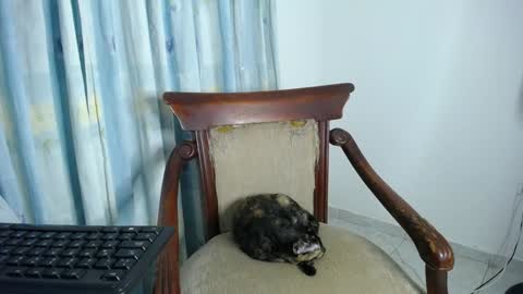 Eolicasextwo online show from December 2024 02:14:01 AM