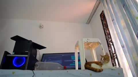 Eolicasextwo online show from December 2024 05:11:02 PM