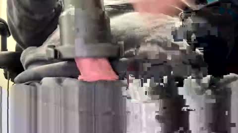 Snapshot of erockdoc4 chatting on September 2025 10:09:01 AM erockdoc4 online show from September 2025 10:09:01 AM