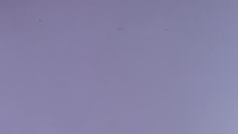 Estrella online show from October 2025 12:00:02 PM