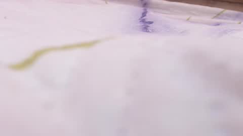 Estrella online show from October 2025 11:53:02 AM