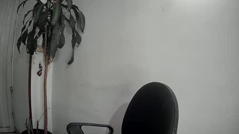 evacollins12 online show from December 2024 01:40:01 AM