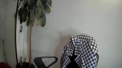 evacollins12 online show from January 2025 03:46:01 AM