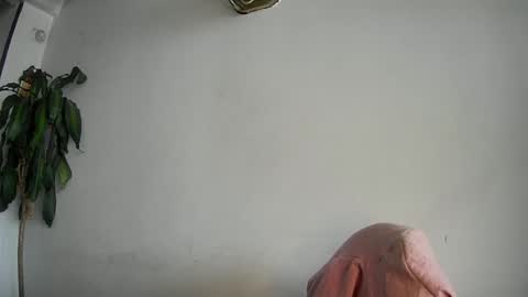 evacollins12 online show from February 2025 07:50:02 PM