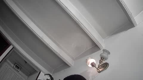 evacollins12 online show from February 2025 12:36:02 AM
