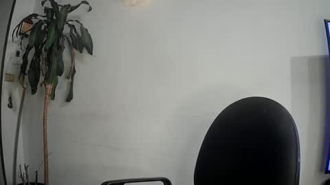 evacollins12 online show from March 2025 02:41:02 AM