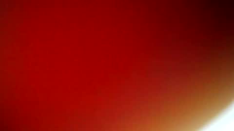 evangely online show from February 2025 11:36:01 AM