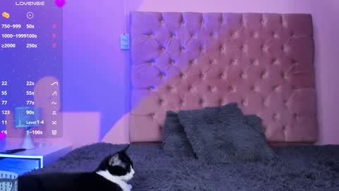 Eva Olimpo online show from January 2025 08:50:01 PM