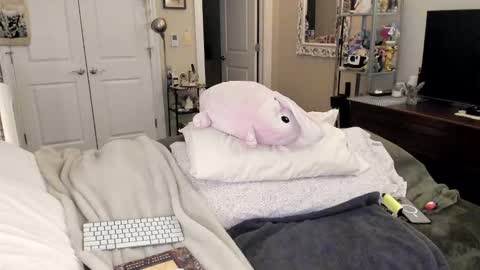 Goddess Eve online show from January 2025 02:15:01 AM