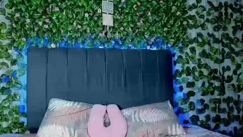 E V E L I N online show from September 2025 03:12:02 PM