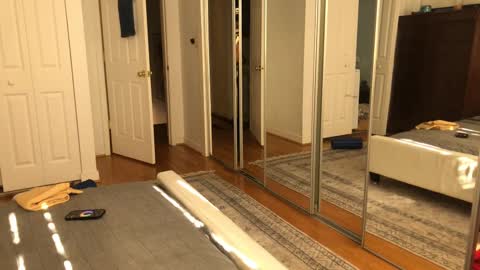 exhibitp online show from February 2025 07:19:02 PM