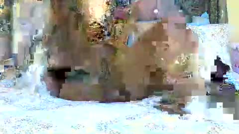 explicitly_certified online show from March 2025 07:49:02 PM