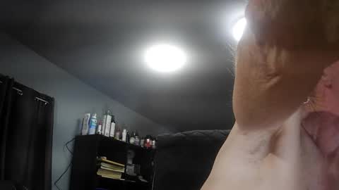 Snapshot of fantasyresort chatting on November 2025 04:11:02 AM fantasyresort online show from November 2025 04:11:02 AM