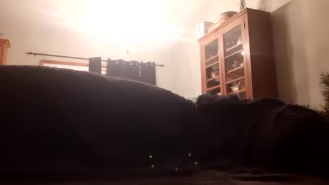 Snapshot of farm2boy chatting on January 2025 02:09:02 AM Farm2boy online show from January 2025 02:09:02 AM