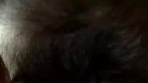 Snapshot of faststr0ker10 chatting on December 2025 09:11:01 PM FastStr0ker10 online show from December 2025 09:11:01 PM