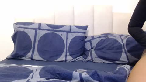 FelineChic online show from December 2024 05:26:01 PM