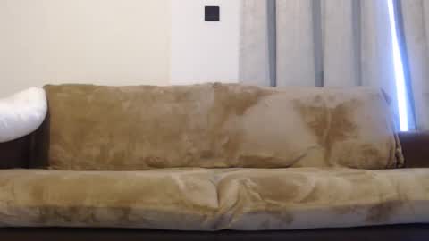 FelineChic online show from January 2025 04:44:01 AM