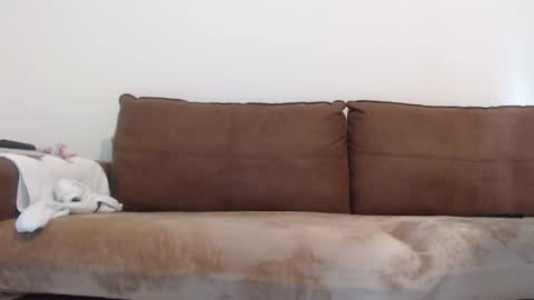 FelineChic online show from January 2025 05:42:02 AM
