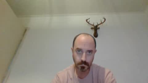 Snapshot of felipesmg2 chatting on November 2025 11:27:01 AM felipesmg2 online show from November 2025 11:27:01 AM