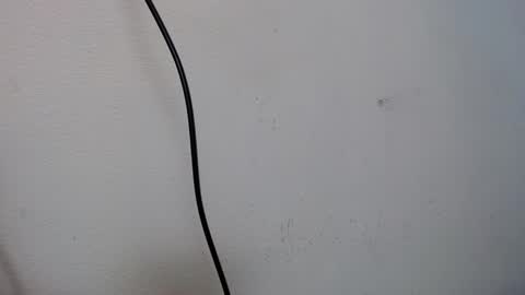 Ferb  Blackwood online show from January 2025 07:28:01 AM