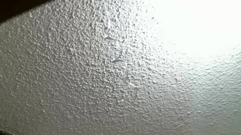 FIERYWOMAN online show from October 2025 04:26:01 PM