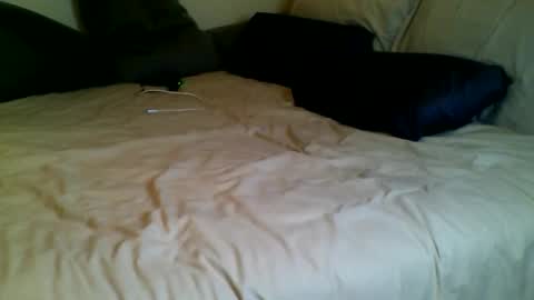 Fitbut online show from November 2025 05:42:01 PM