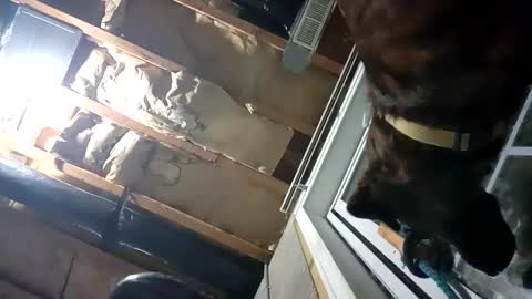 Nate online show from September 2025 02:15:02 AM