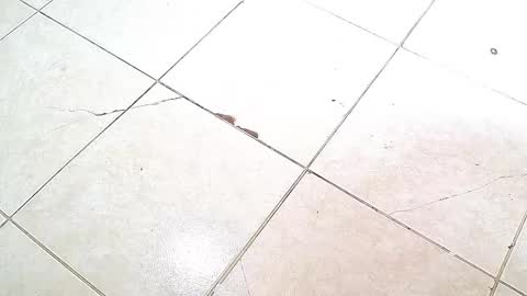 Snapshot of flyckers chatting on October 2025 08:06:02 PM flyckers online show from October 2025 08:06:02 PM