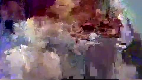 Snapshot of forest133 chatting on December 2024 07:59:02 PM forest133 online show from December 2024 07:59:02 PM