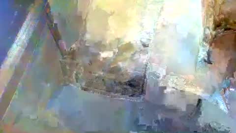 Snapshot of forest133 chatting on January 2025 01:36:02 PM forest133 online show from January 2025 01:36:02 PM