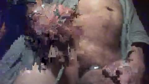 Snapshot of forest133 chatting on January 2025 11:12:02 PM forest133 online show from January 2025 11:12:02 PM