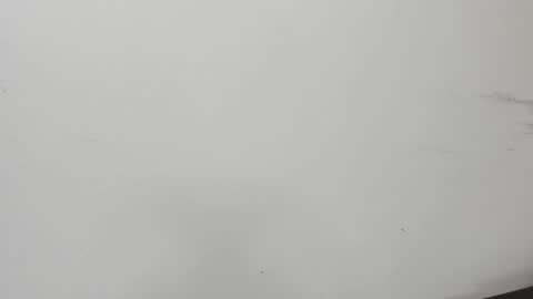 Fransheska online show from March 2025 07:20:02 PM