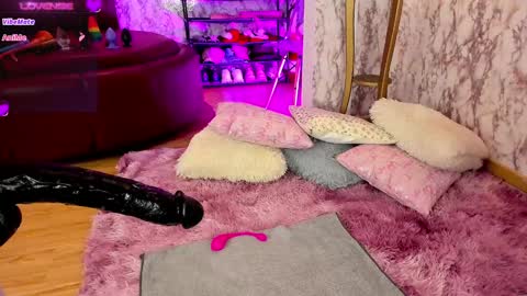    -  IG AnicolorsLive X AnicolorsLive        - online show from January 2025 06:59:02 AM
