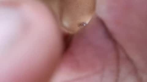 Snapshot of frey212121 chatting on February 2025 08:47:01 PM Phantom online show from February 2025 08:47:01 PM