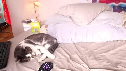 fuckmypussyplz1 online show from February 2025 05:37:01 PM